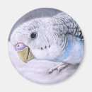 Suche nach budgie magnete Papageien