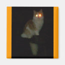 Suche nach halloween katze magnete Spukhaft