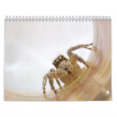 Suche nach insekten kalender Heuschrecke