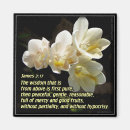 Suche nach weisheit magnete Schrift