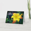 Suche nach taglilie karten Blume
