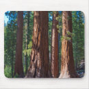 Suche nach haines mousepads Baum