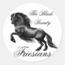 Suche nach colt aufkleber Pony