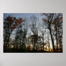 Suche nach eichenbaum poster Rückgang