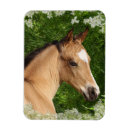 Suche nach reiter magnete Blumen