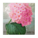 Suche nach redoute fliesen Hydrangea