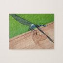 Suche nach dragonfly puzzle Libelle