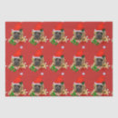 Suche nach mastiffs geschenkverpackung Englische mastiff