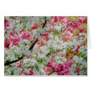 Suche nach baumblüten postkarten Natur