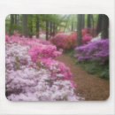 Suche nach azalee mousepads Nordamerika