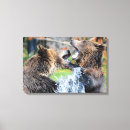 Suche nach grizzlybär leinwandbilder Tragen
