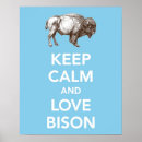 Suche nach weißer bison poster Tier