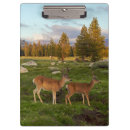 Suche nach wild lebende tiere klemmbrett Rotwild