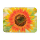Suche nach sonnenblumen magnete Usa