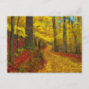 Suche nach seltene postkarten Fotografie