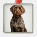 Suche nach greif ornamente Hund