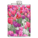Suche nach tulpen flachmänner Natur