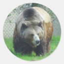 Suche nach grizzlybären aufkleber Braunbär