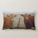 Suche nach cattleman Cowgirl