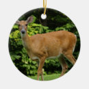 Suche nach rotwild ornamente Jäger
