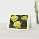 Suche nach gelbe rosen karten Dusche
