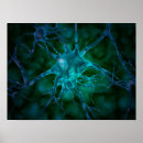 Suche nach nervenzelle poster Signalgebung