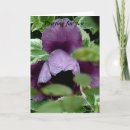 Suche nach gebets karten Hoffnung