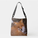 Suche nach lebewesen taschen Natur