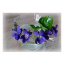 Suche nach transparent poster Gelb