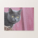 Suche nach kitty cat puzzle Rätsel