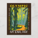 Suche nach regenwald postkarten Olympischer nationalpark