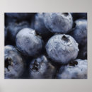 Suche nach gegenstand poster Horizontal