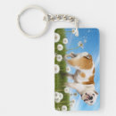Suche nach stierhund accessoires Adorable