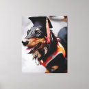 Suche nach hund fotodruck Dackel