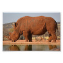 Suche nach schlamm poster Tier