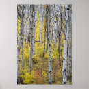 Suche nach aspen poster Usa