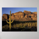 Suche nach pipe organ poster Landschaft