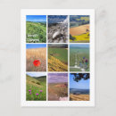 Suche nach sieben schwestern poster Sushsex