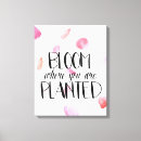 Suche nach rosa rosen leinwandbilder Aquarell