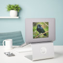 Suche nach raven aufkleber Vogelvogel