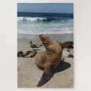 Suche nach säugetiere puzzle Meerestiere