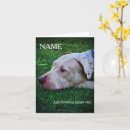 Suche nach hundewelpen karten Hundefreund