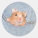 Suche nach hamster aufkleber Haustier