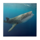 Suche nach oxford fliesen Ozean