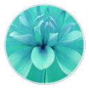 Suche nach blumenblumenblatt Blau