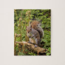Suche nach eichhörnchen puzzle Wildtiere