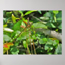 Suche nach flitter poster Blau