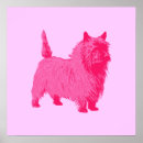 Suche nach cairn terrier poster Kairn