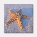 Suche nach tierthemen wohnen zuhause Starfish