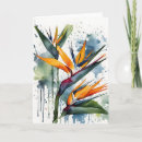 Suche nach paradiesvogel karten Elegant